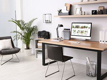 Das sind die 7 besten Pflanzen für dein Home-Office