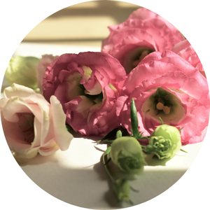 Lisianthus – Bedeutung, Herkunft und Dekotipps Lisianthus – Bedeutung, Herkunft und Dekotipps