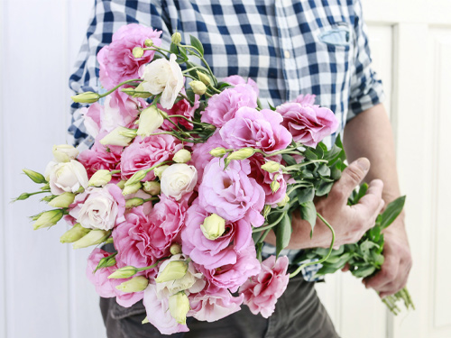 Lisianthus – Bedeutung, Herkunft und Dekotipps