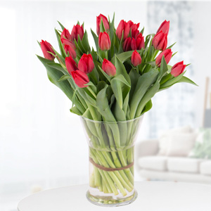 Rote Tulpen bestellen