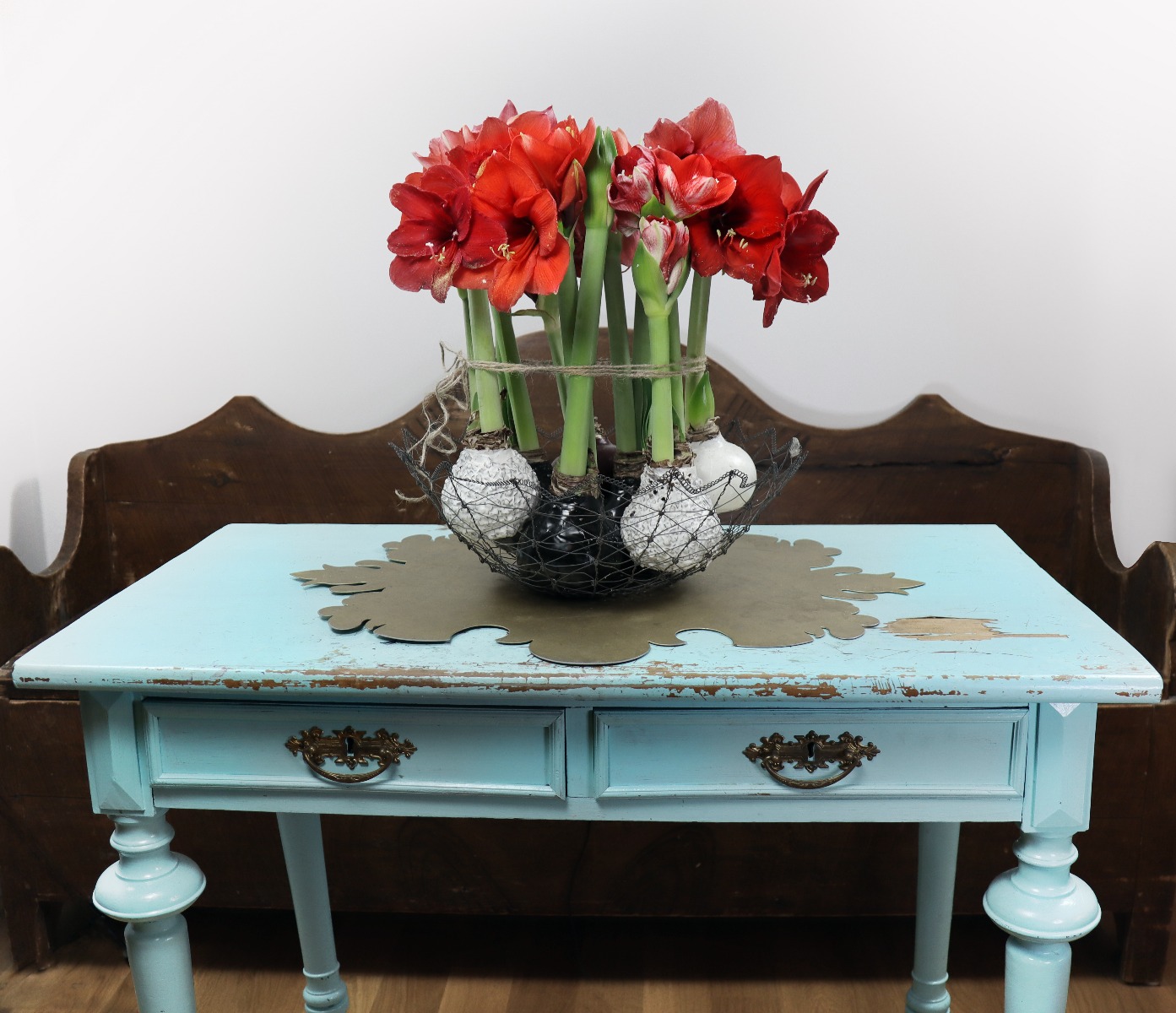 Amaryllis online bestellen