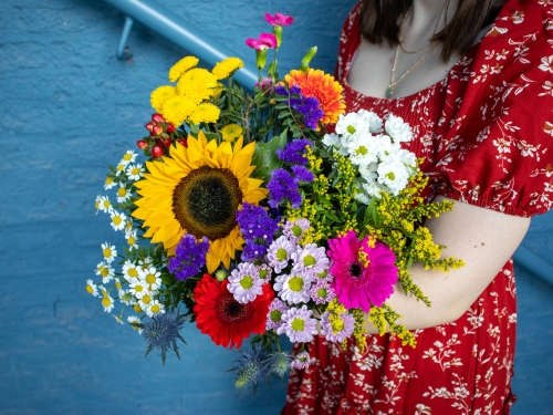 Sonnenblumen mit Bedeutung verschenken