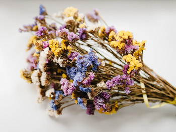 Trockenblumen: Der Wohntrend zum Verlieben