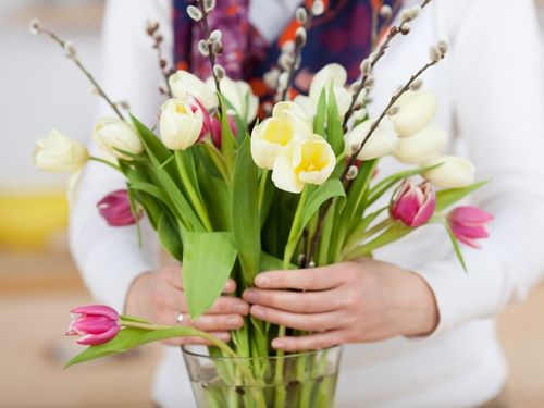 Tulpen in der Vase - Pflegetipps