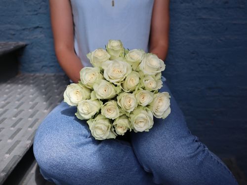 Weiße Rosen für ihn als Geschenk zum Valentinstag