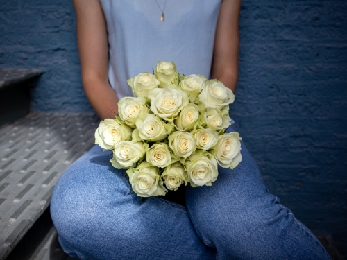 Weiße Rosen als Geschenk an ihn zum Valentinstag
