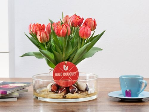 Bulb Bouquet Orange Bulb Bouquet Orange