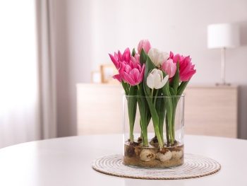 Tulpen mit Zwiebeln: Unser Bulb Bouquet