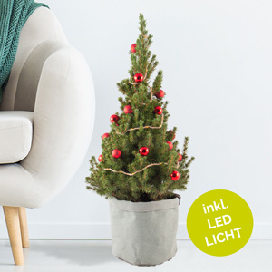 Weihnachtsbaum verschicken