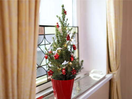 Mini-Weihnachtsbaum