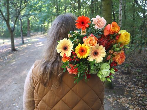 Blumen im Herbst