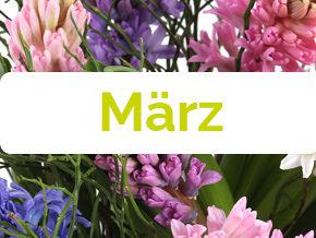 Blumen im März