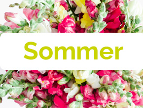 Blumen im Sommer