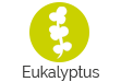 Eukalyptus