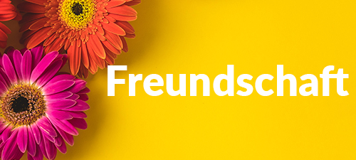 Jetzt Blumen für Freunde versenden