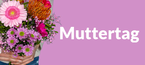 Frische Blumen zum Muttertag verschicken