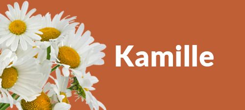 Blumenstrauß mit Kamille Blumenstrauß mit Kamille