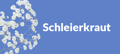 Blumenstrauß mit Schleierkraut Blumenstrauß mit Schleierkraut