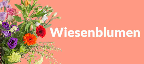 Wiesenblumen