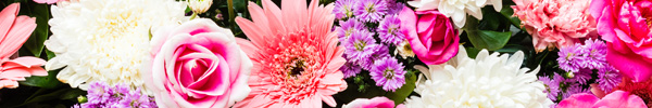 Beliebte Blume bestellen