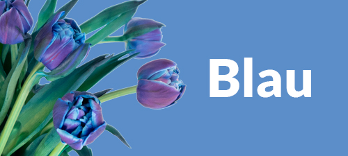 Blauer Blumenstrauß