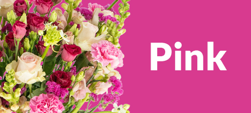 Pinker Blumenstrauß