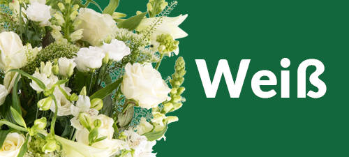 Weißer Blumenstrauß