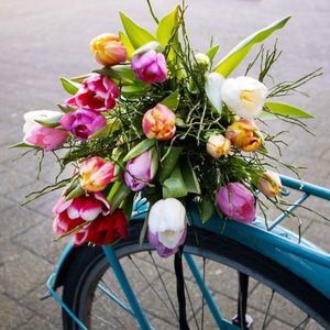 Bunten Frühlingsstrauß bestellen