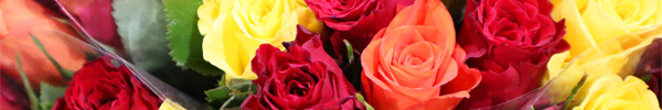 Herbstblumenstrauß Herbstblumenstrauß