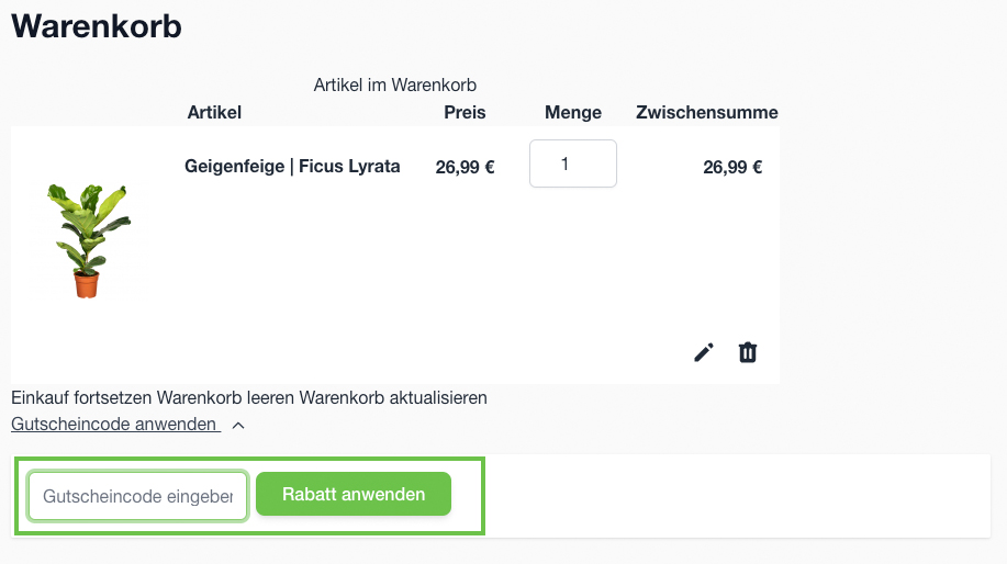 Gutschein im Warenkorb anwenden