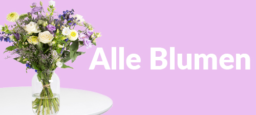Blumenstrauß verschicken
