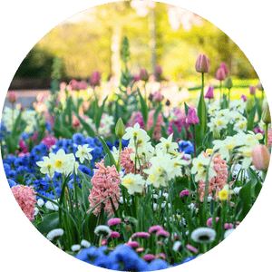 Boho & Blumen: Deko Inspiration im Boho-Stil Boho & Blumen: Deko Inspiration im Boho-Stil