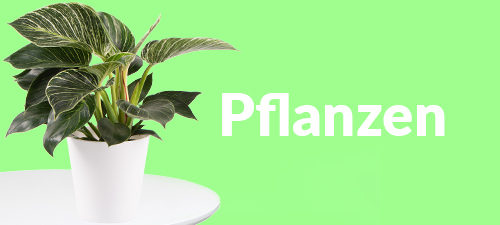 Pflanzenversand