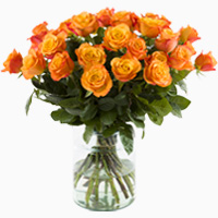Orange Rosen