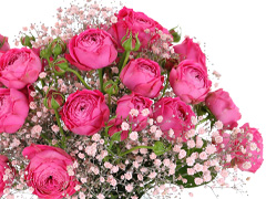 Buzzy Magenta bouquet