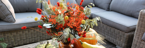 Trockenblumen kaufen Trockenblumen kaufen