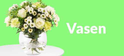 Vasen