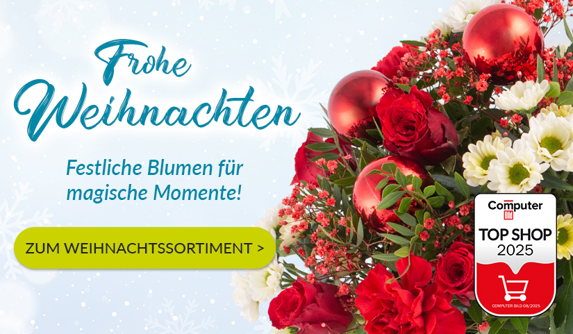 Weihnachtsblumenstrauß verschicken Weihnachtsblumenstrauß verschicken