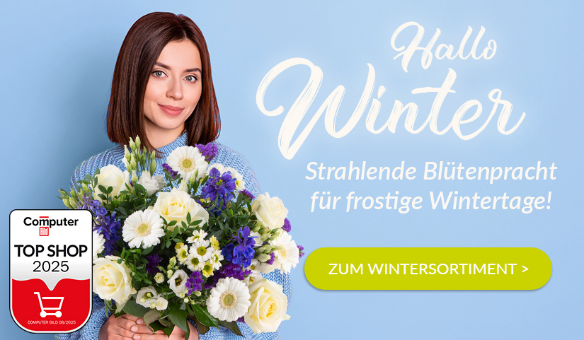 Winter-Blumenstrauß verschicken Winter-Blumenstrauß verschicken